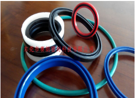 彈簧蓄能密封圈 彈簧蓄能密封圈