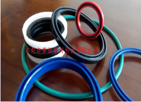 全氟醚O型圈 全氟醚O型圈