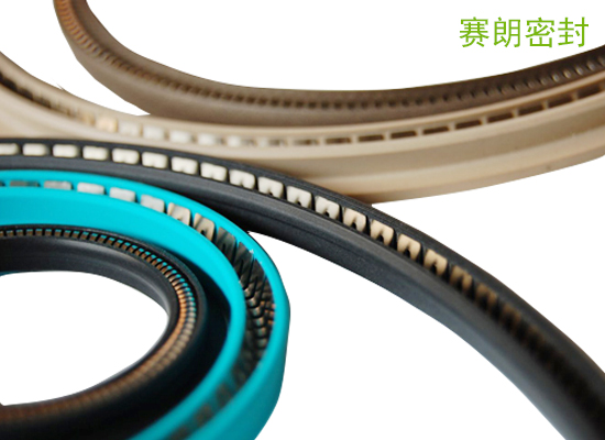 彈簧蓄能密封圈 彈簧蓄能密封圈